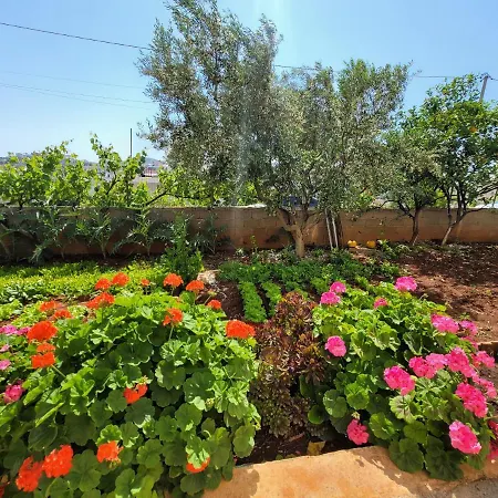 Apartament Spahiu Ksamil