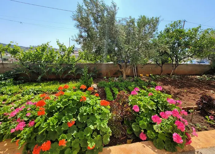 公寓 Spahiu 卡萨米尔